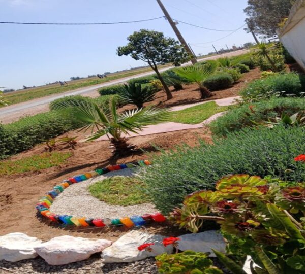 Jardin Extérieur 